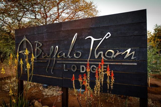 Buffalo Thorn Lodge بيلانسبرغ المظهر الخارجي الصورة